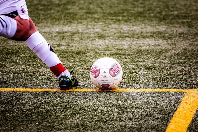 未来可期 未来可期