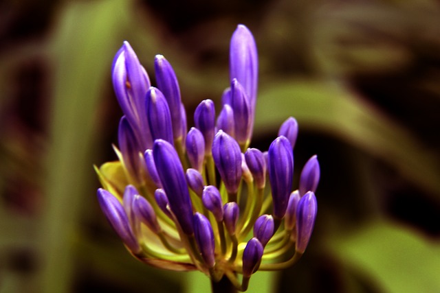 这支德甲巨 这支德甲巨