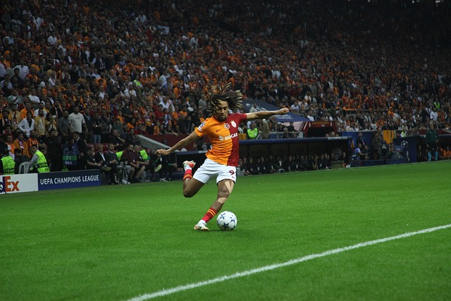 于自己的技 于自己的技