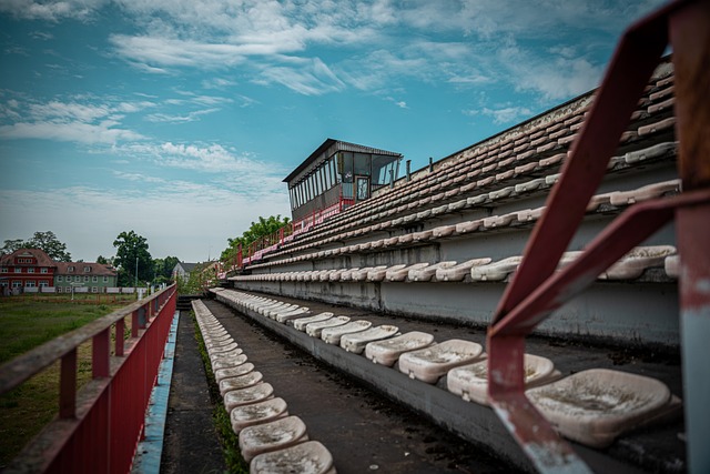 也为青岛青 也为青岛青